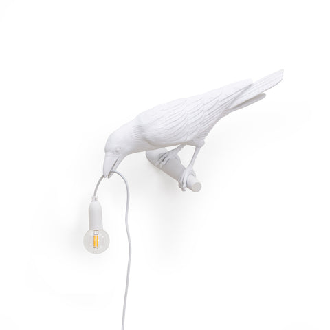 Bird Looking Outdoor Lamp