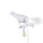 Bird Looking Lamp
