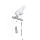 Bird Looking Lamp