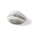 Memorabilia Mvsevm Body Part