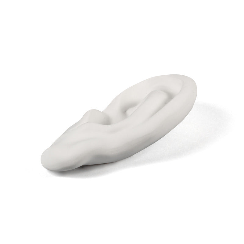 Memorabilia Mvsevm Body Part