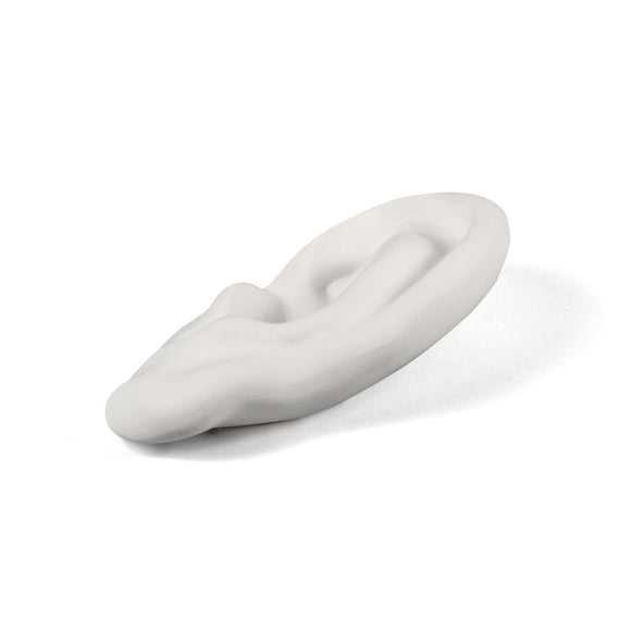 Memorabilia Mvsevm Body Part