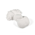 Memorabilia Mvsevm Body Part