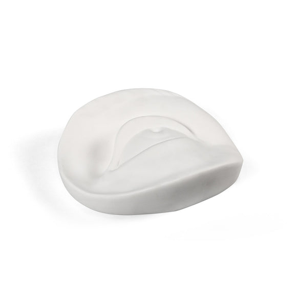 Memorabilia Mvsevm Body Part