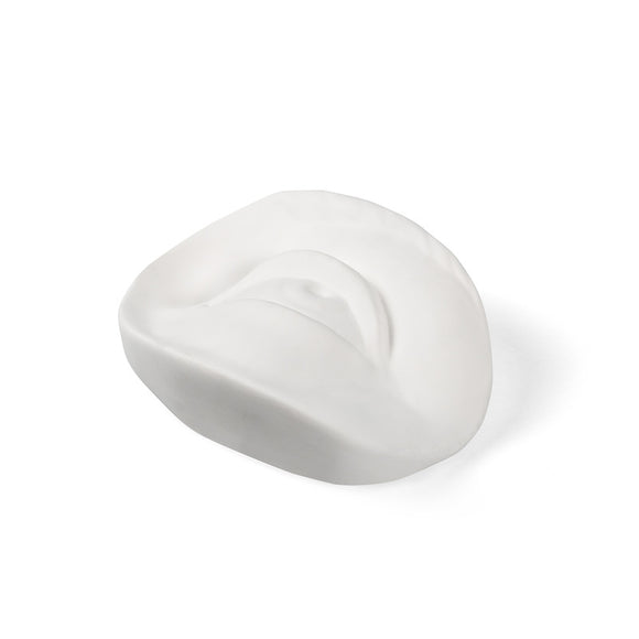 Memorabilia Mvsevm Body Part