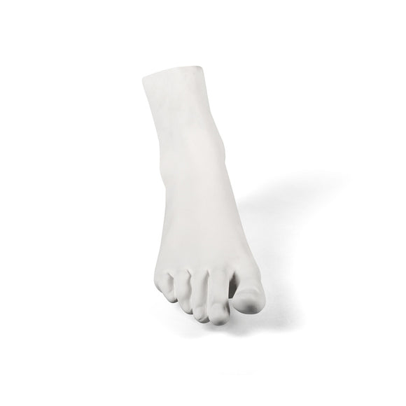 Memorabilia Mvsevm Body Part