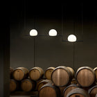 Circ Adjustable Linear Suspension Light