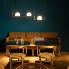 Circ Adjustable Linear Suspension Light