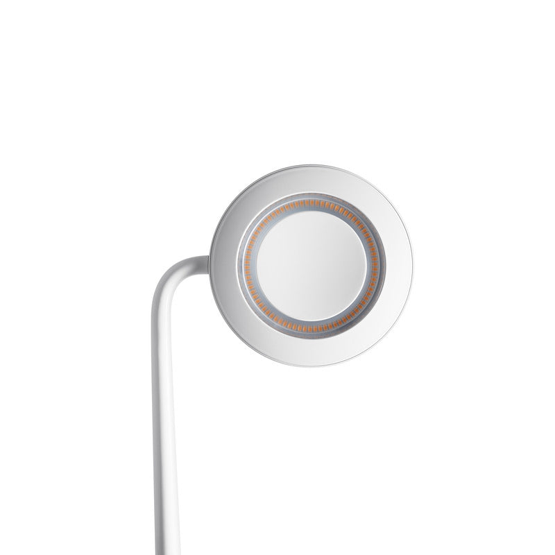 Pablo Pixo Wall Sconce - Thumbnail 4