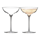 Elegance Champagne Belle Coupes (Set of 2)