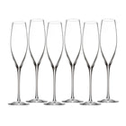 Elegance Classic Champagne Glasses (Set of 6)