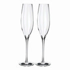Elegance Optic Classic Champagne Glasses (Set of 2)