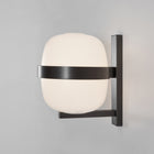 Wally Wall Light