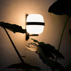 Wally Wall Light
