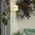 Wally Wall Light