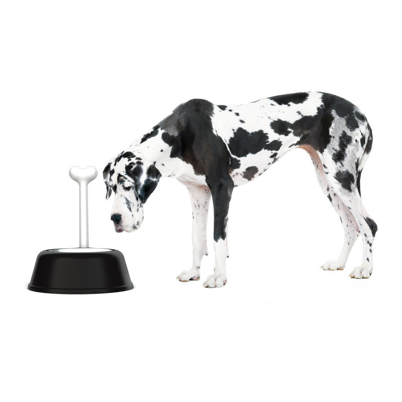Lupita Dog Bowl