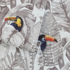 Toucan Removable Wallpaper