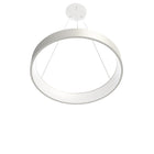 Circuit Pendant Light