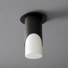 Ellipse Flush Mount