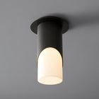 Ellipse Flush Mount