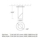 Ellipse Flush Mount