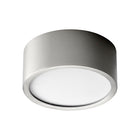 Peepers Flush Mount