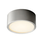Peepers Flush Mount