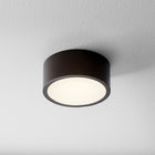 Peepers Flush Mount