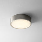 Peepers Flush Mount