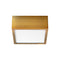 Pyxis Flush Mount  option Aged Brass
