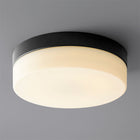 Zuni Flush Mount