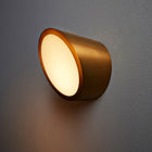 Zeepers Wall Sconce