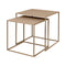 Fera Nesting Table (Set of 2)  option Nomad