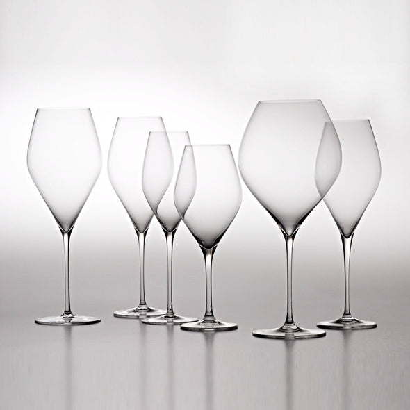 Vem Sparkling & White Wine Glasses (Set of 4)