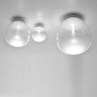 Empatia Wall or Ceiling Light
