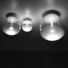 Empatia Wall or Ceiling Light