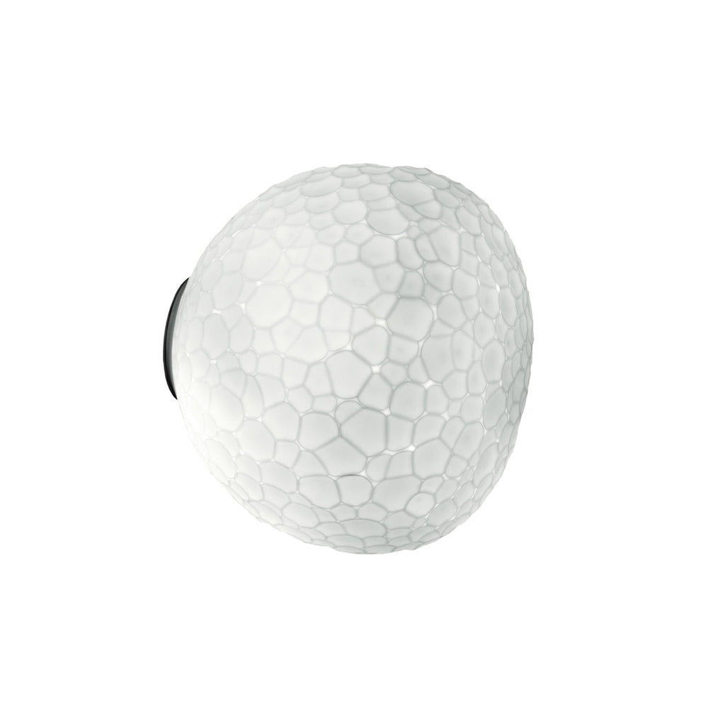 Meteorite Wall or Ceiling Light