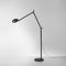 Demetra Floor Lamp  option Matte Black