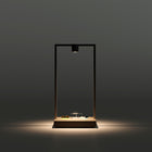 Curiosity Table Lamp