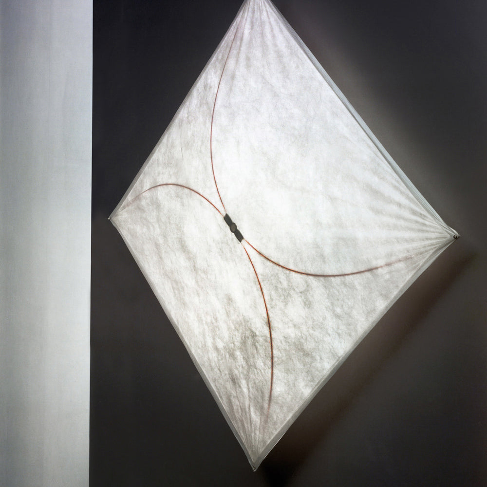 Ariette Wall / Ceiling Light