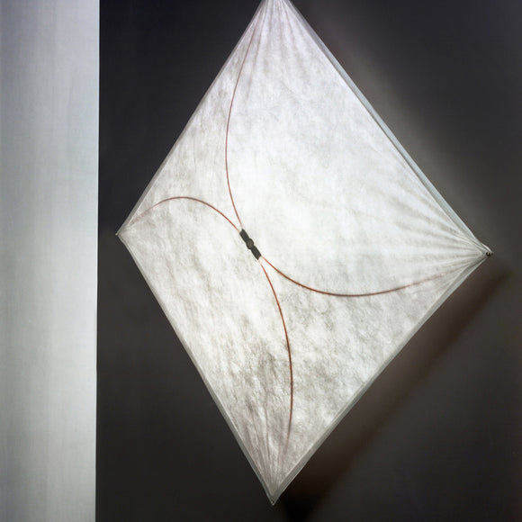 Ariette Wall / Ceiling Light