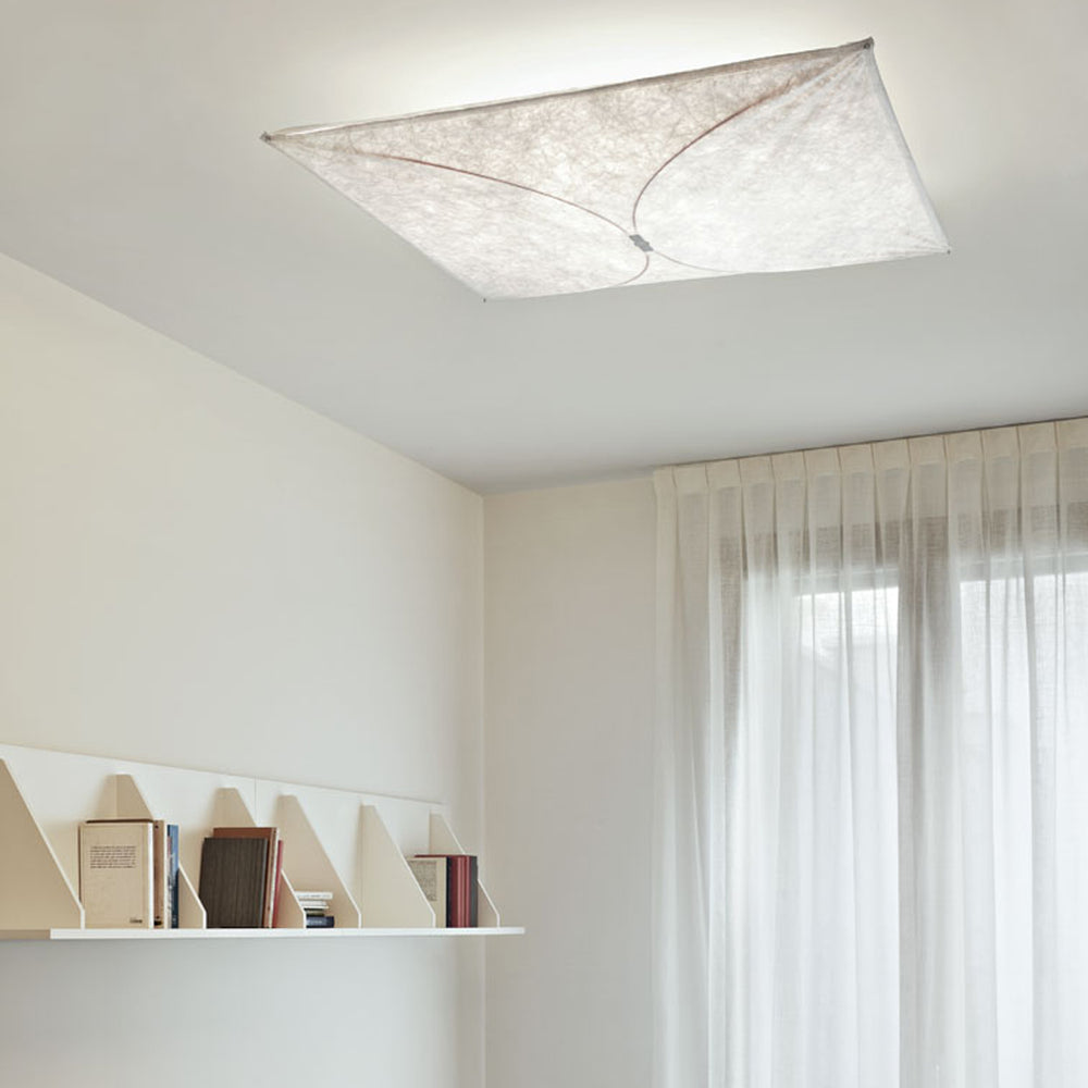 Ariette Wall / Ceiling Light