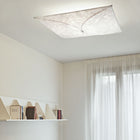 Ariette Wall / Ceiling Light