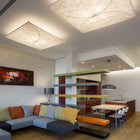 Ariette Wall / Ceiling Light