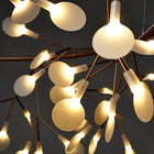 Heracleum The Big O Suspension Light