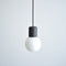 Catkin LED Pendant Light  option W.Oak Black