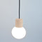Catkin LED Pendant Light  option W.Oak White