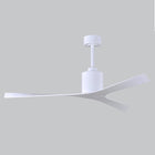 Molly Outdoor Ceiling Fan
