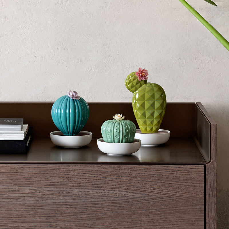 Lladro Astrophytum Cactus Diffuser - 2Modern