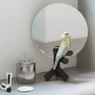 Parrot Vanity Mirror